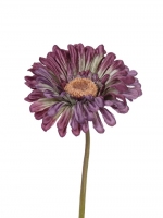 Gerbera 48cm purper/groen